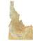 Idaho sectional chart wall map, decorative FAA chart, reference only