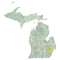 Michigan sectional chart wall map, decorative FAA chart, reference only
