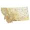 Montana sectional chart wall map, decorative FAA chart, reference only
