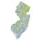 New Jersey sectional chart wall map, decorative FAA chart, reference only