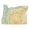 Oregon sectional chart wall map, decorative FAA chart, reference only