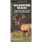 Yellowstone Wildlife - Book - Paracay