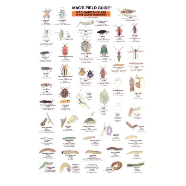 Outdoors, Camping & Travel :: All Outdoors Books :: Insect ...