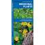 Plant & Flower Identification Guides :Medicinal Plants