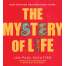The Mystery of Life: How Nothing Became Everything