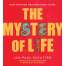 The Mystery of Life: How Nothing Became Everything