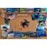 Fish & Sealife Identification Guides :Sea Turtle Life Cycle LAMINATED CARD
