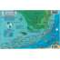 Turks & Caicos Dive Map & Reef Creatures Guide LAMINATED CARD