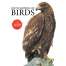 Encyclopedia of Birds