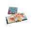 Shells: A Pop-Up Book of Wonder