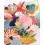 Shells: A Pop-Up Book of Wonder