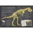 Dinosaur Bones: And What They Tell Us