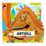 Butterflies, Bugs & Spiders :Anthill
