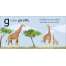 Jungle & Zoo Animals :G is for Giraffe