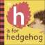 H is for Hedgehog