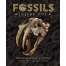 Fossils Inside Out: A Global Fusion of Science, Art and Culture