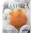 Kids Books about Fish & Sea Life :Next Time You See a Seashell