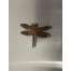 Dragonfly Magnet