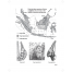 Bigfoot Books :Dr. Jeff Meldrum's Relict Hominoid Fun and Learning Activity Workbook: Orang Pendek Edition