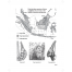 Dr. Jeff Meldrum's Relict Hominoid Fun and Learning Activity Workbook: Orang Pendek Edition