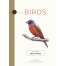 Birds: An Illustrated Field Guide