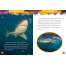 National Geographic Kids 5-Minute Shark Stories - Book