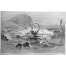 Devilfish: When Giant Squid Ruled the Northern Sea - Book