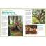 Backpack Explorer: Discovering Trees - Book