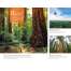 Fodor's Northern California - Book