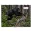 BIGFOOT 2025 Calendar