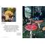 Growing Mushrooms at Home - Book