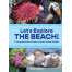 Let’s Explore the Beach! - Book