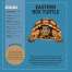 My Sticker Paintings: Reptiles - Book