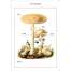 New York Botanical Garden Mushroom Identification Flashcards