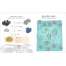 Julia Rothman's Ocean Anatomy - Activity Book
