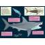 Shark - Hunter of the Deep (Awesome 3D Wall Art) - Book