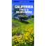 California Trees & Wildflowers