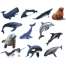 Pacific Northwest Marine Animal - Sticker Book