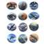 Pacific Northwest Marine Animal - Sticker Book