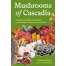 Mushrooms of Cascadia, Second Edition: An Illustrated Key to the Fungi of the Pacific Northwest - Book