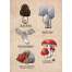 Mushrooms of the Pacific Northwest - Sticker Book