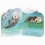A Little Otter - Board book