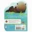 A Little Otter - Board book