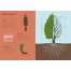 Arborama: The Marvelous World of Trees - Book