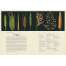 Botanicum: Welcome to the Museum - Book