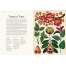 Botanicum: Welcome to the Museum - Book