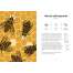 Insectorama: The Marvelous World of Insects - Book