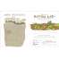 Julia Rothman's Nature Anatomy Activity Book - Book