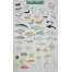 Mac's Field Guide to Alaskan Wildlife