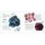 Minerals and Rocks: A Beginner's Guide - Book